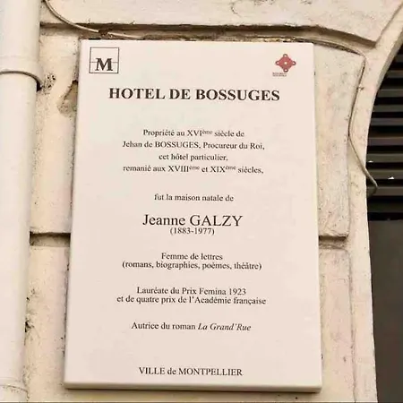 Daire In Historical Monument In Center Montpellier